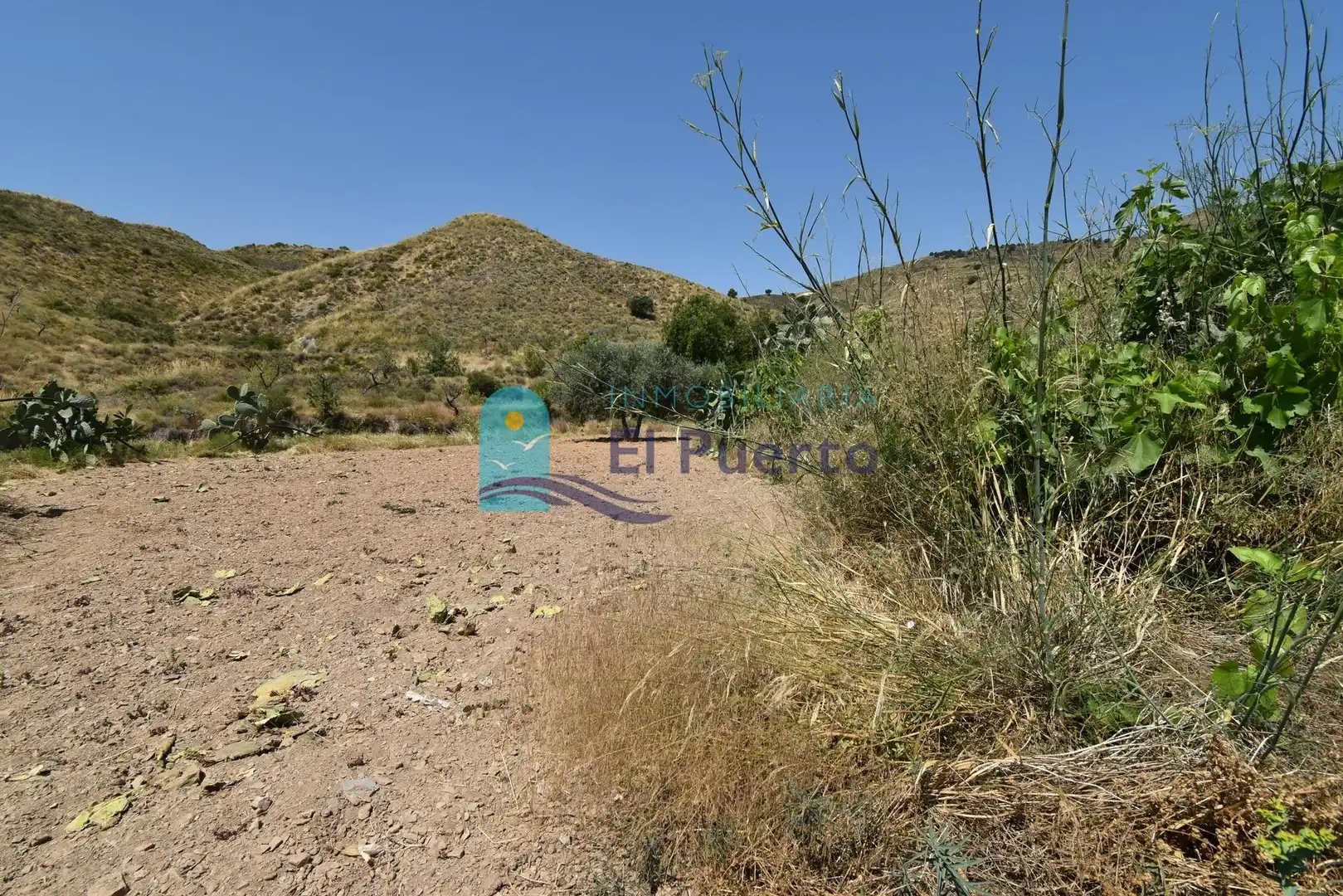 Country homes for sale in Lorca