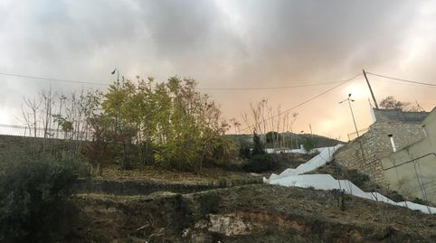 LOJA (Granada). Paraje Carmen de los Ángeles., imatge 3