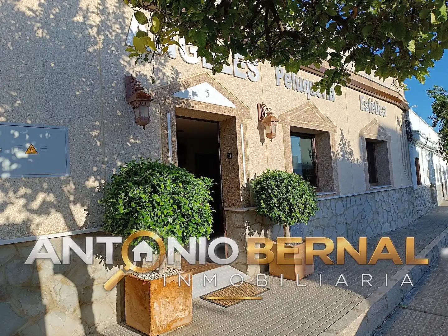 Business premises to rent in Arcos de la Frontera