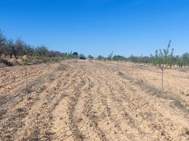 Terrenys i solars en venda a Aledo