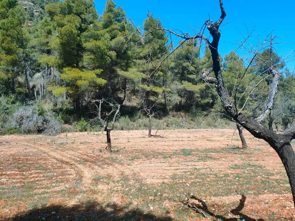 Terreni e lotti in vendita a Ráfales, imagen 7