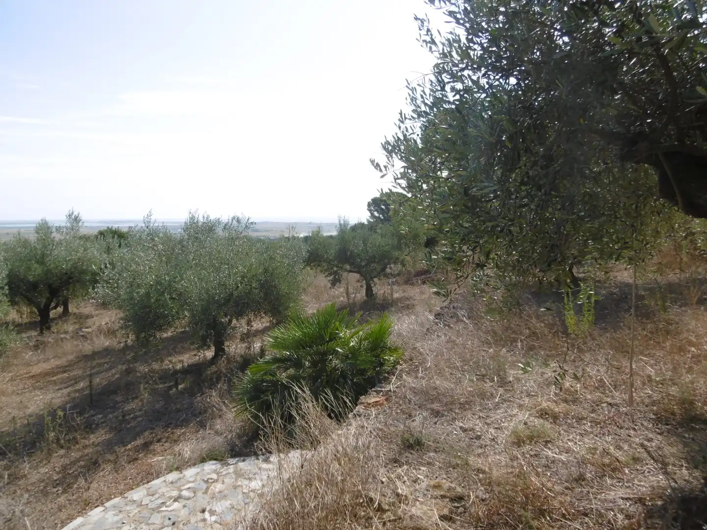 Rustikales Grundstück zum Verkauf in Vial Camino 315, imagen 16