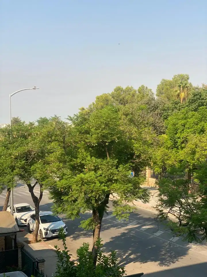 Vista exterior de Pis de lloguer en Dos Hermanas amb Aire condicionat, Terrassa i Moblat