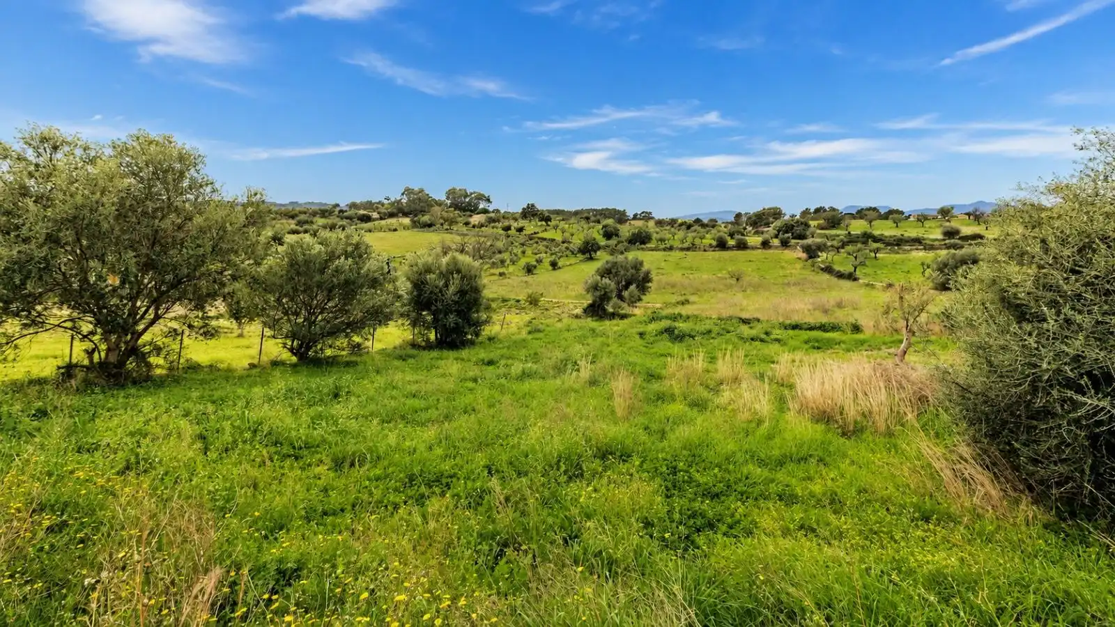Residential for sale in Selva