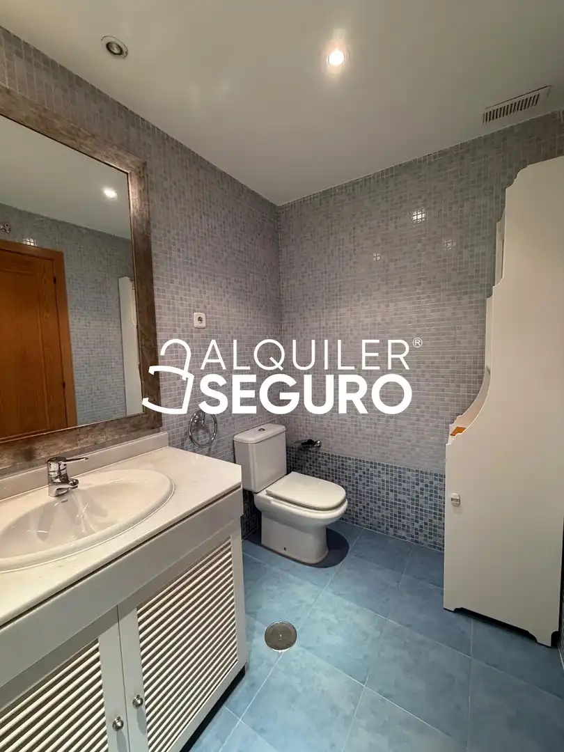 Appartamento con piscina in affitto a Antonio Muñoz Molina, imagen 30