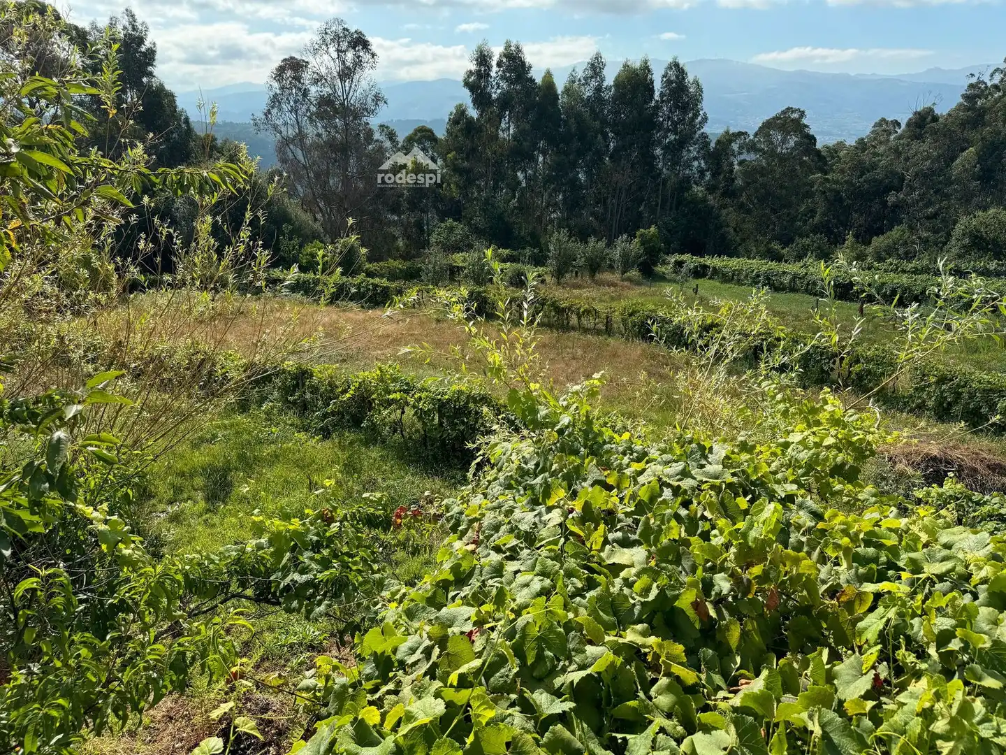Xalet en venda a A Cañiza, imagen 23