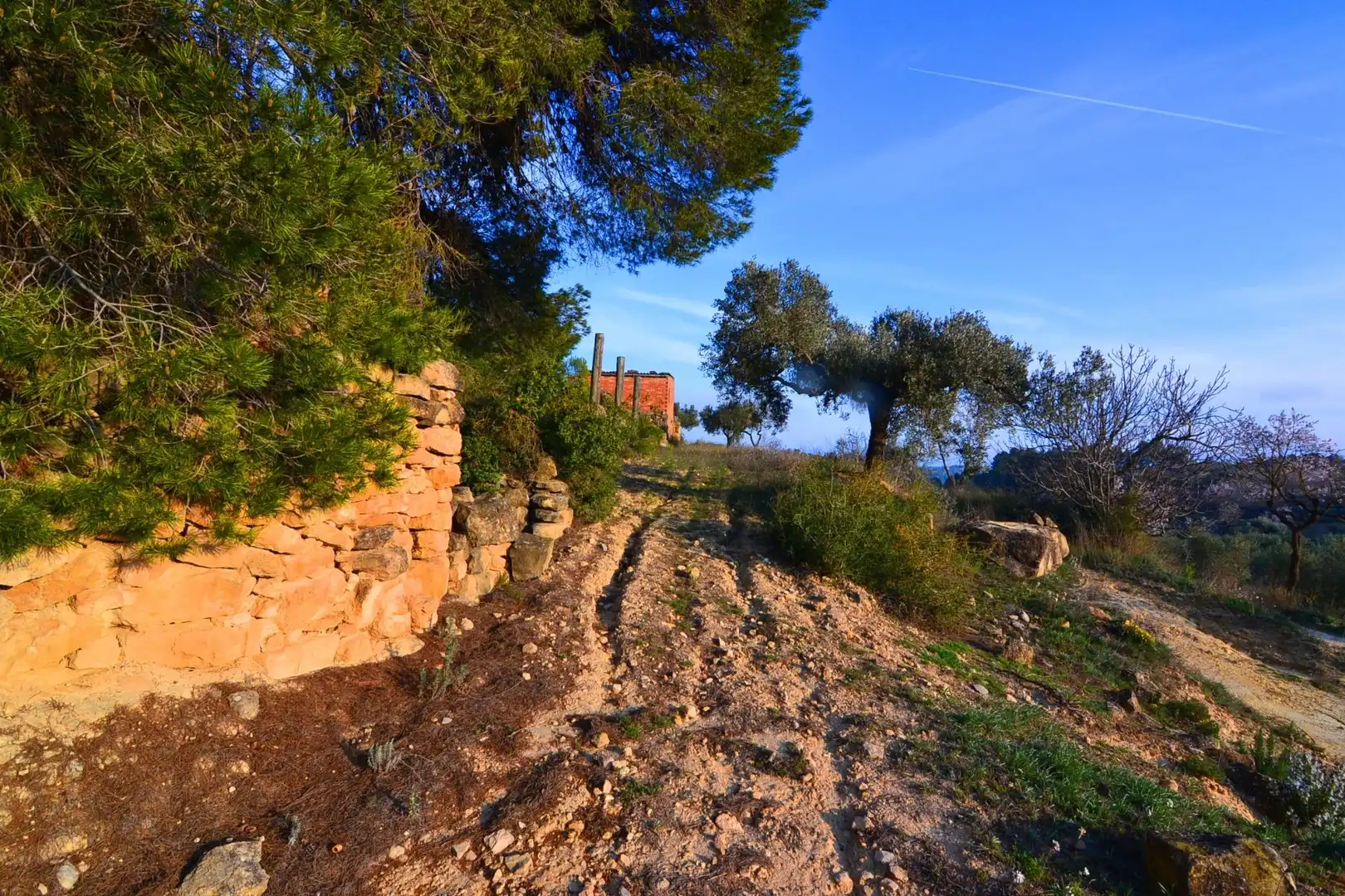 Rural land for sale in Corbera d'Ebre, imagen 14