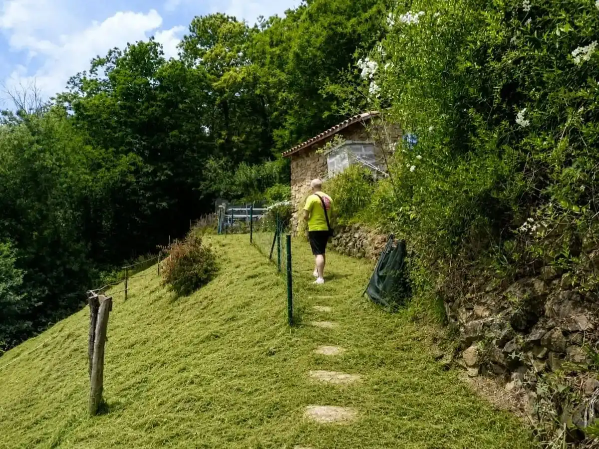 Jardí de Casa o xalet en venda en San Martín del Rey Aurelio amb Terrassa i Balcó