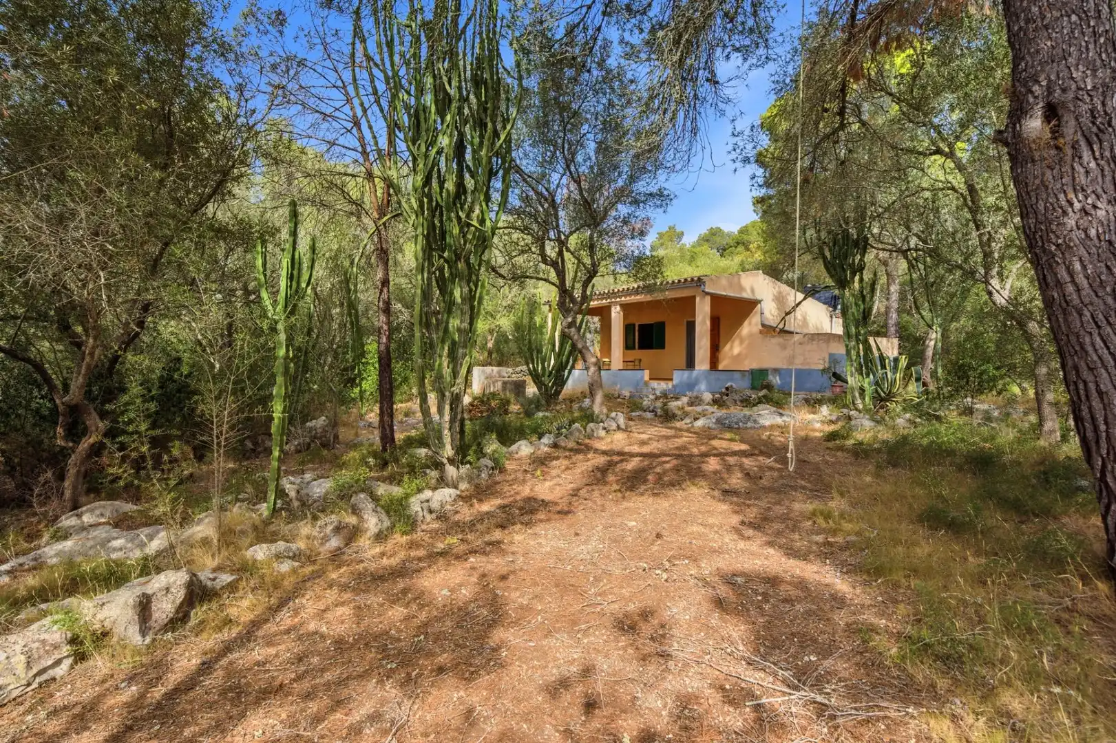 Jardí de Finca rústica en venda en Petra amb Jardí privat, Terrassa i Traster