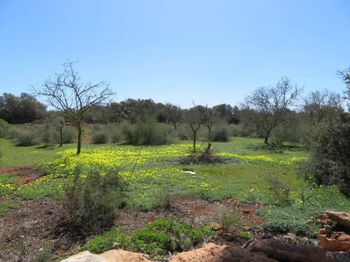 Maison rustique à vendre à Cala Pi - Vallgornera, imagen 4