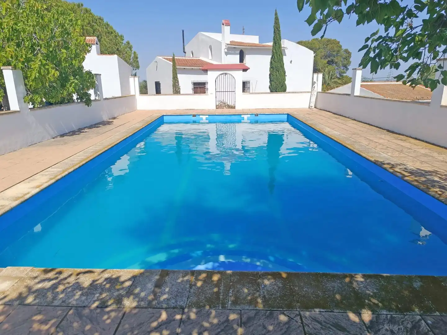 Piscina de Finca rústica en venta en Novelda con Aire acondicionado, Calefacción y Jardín privado