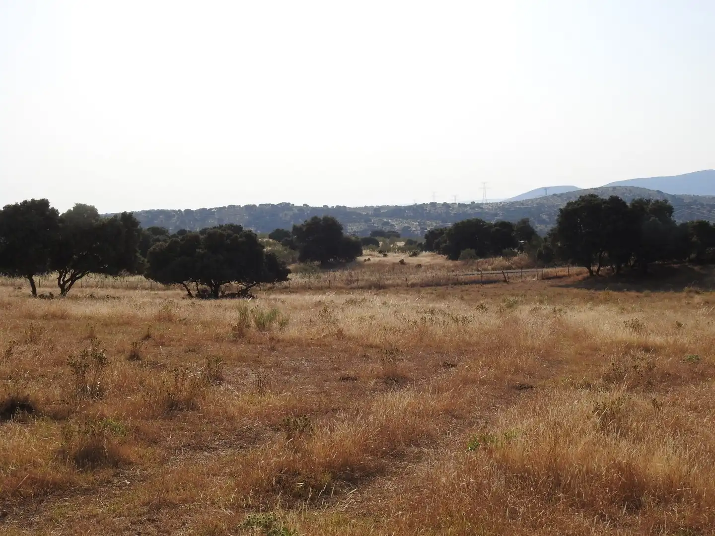 Land for sale in Villar del Pedroso