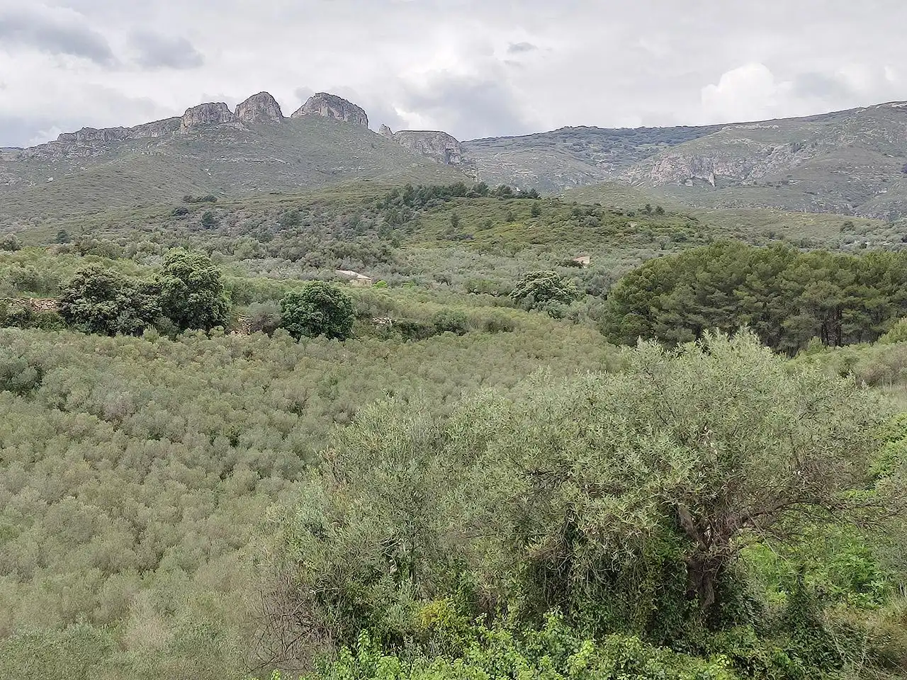 Finca rústica en venta en La Sénia con Terraza