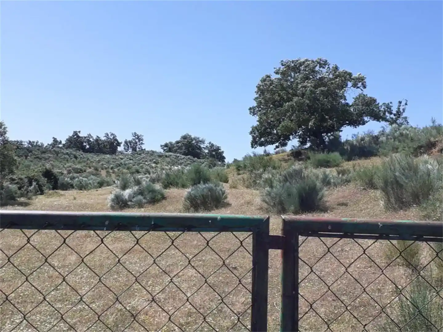 Terreno en venta en Valencia de Alcántara
