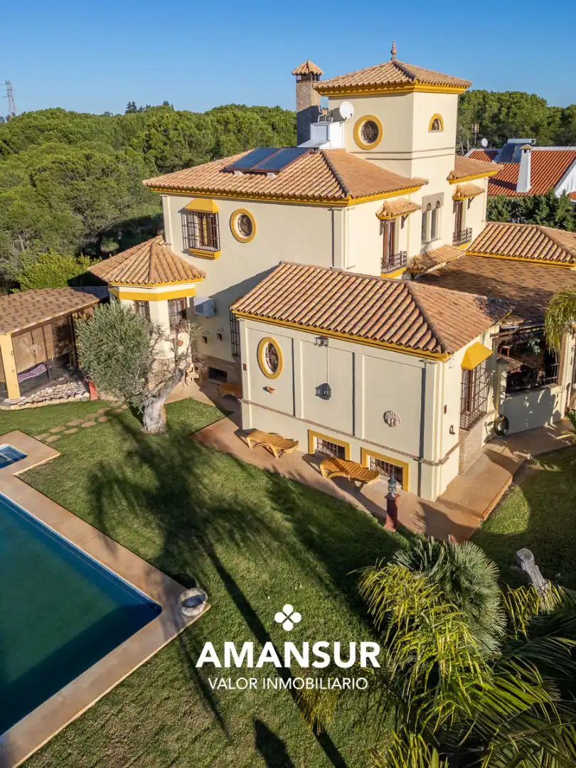 Chalet con piscina en venta en Avenida del Almendro, imagen 104