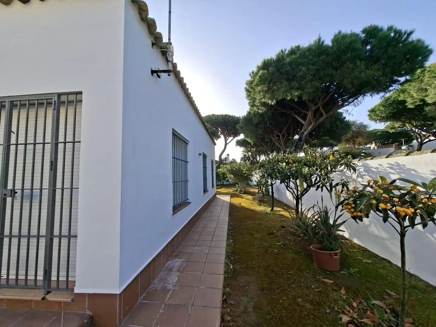 Jardí de Casa o xalet en venda en Chiclana de la Frontera amb Jardí privat