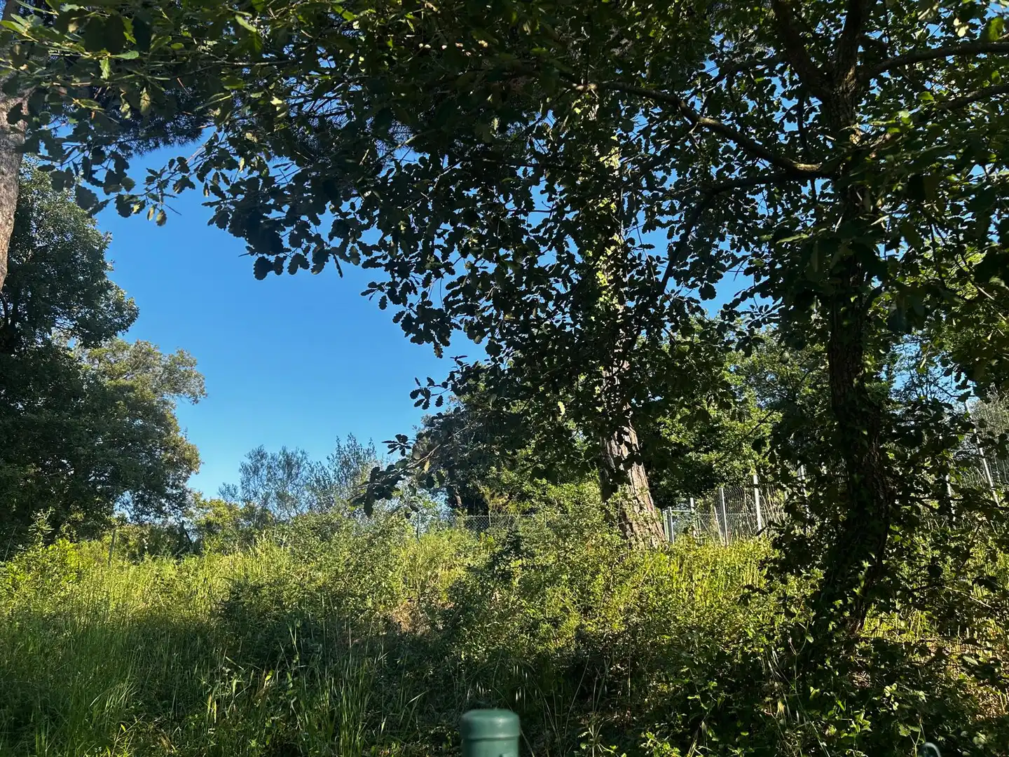 Residential land for sale in Residencial Park, imagen 19