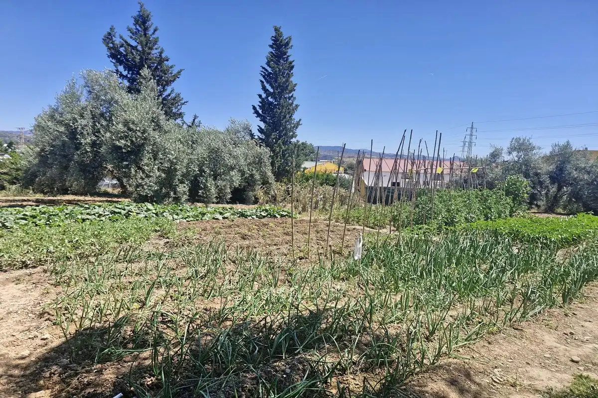 Finca rústica en venda en Málaga amb Jardí privat, Terrassa i Traster