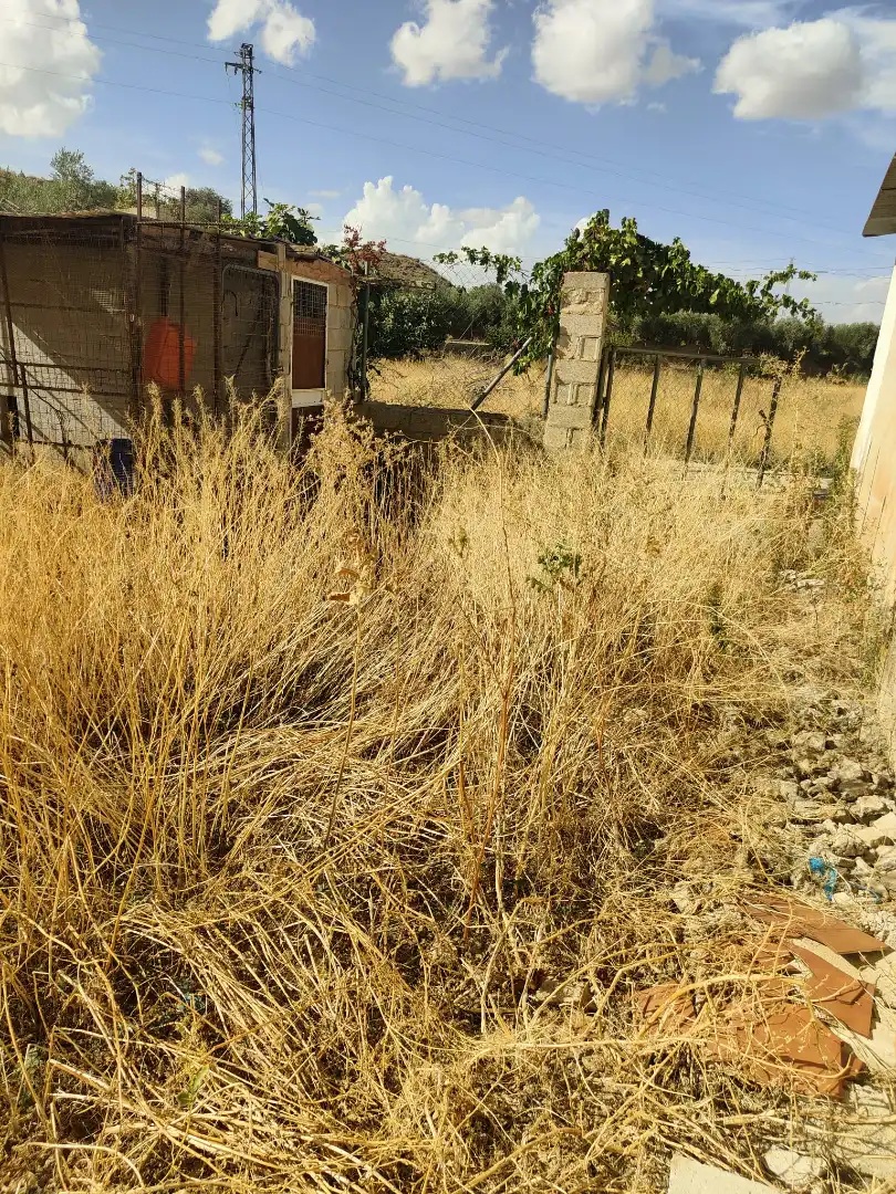 Finca rústica en venda en Cortes y Graena amb Jardí privat, Terrassa i Piscina