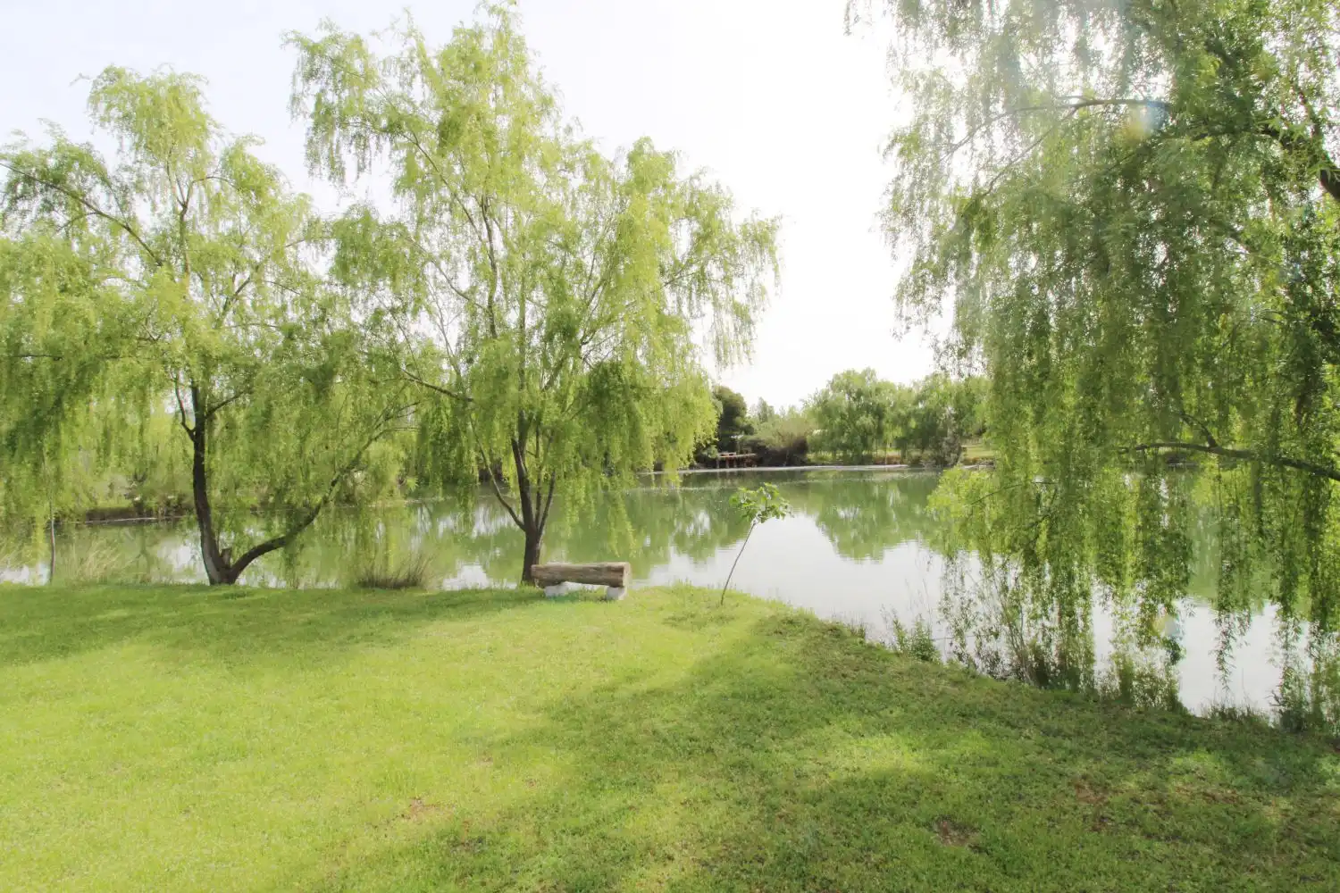 Chalet en venta en Malagón, imagen 2