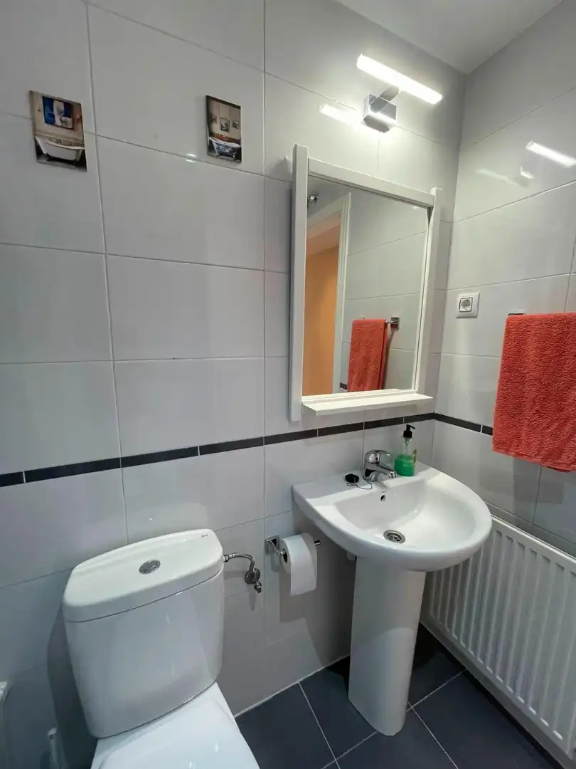 Badezimmer von Dachboden zur Miete in El Molar (Madrid) mit Heizung, Terrasse und Balkon