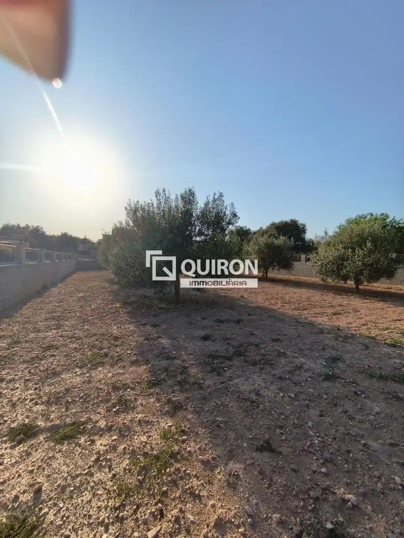 Land for sale in Montferri