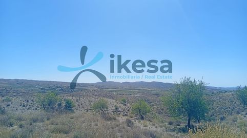 VENTA DE TERRENO RÚSTICO EN ALBOX ALMERÍA, immagine 4
