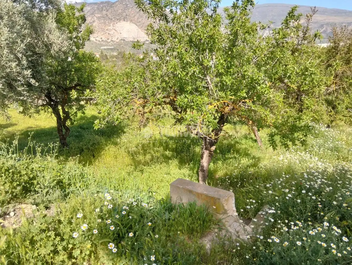 Rural land for sale in Dúrcal, imagen 4