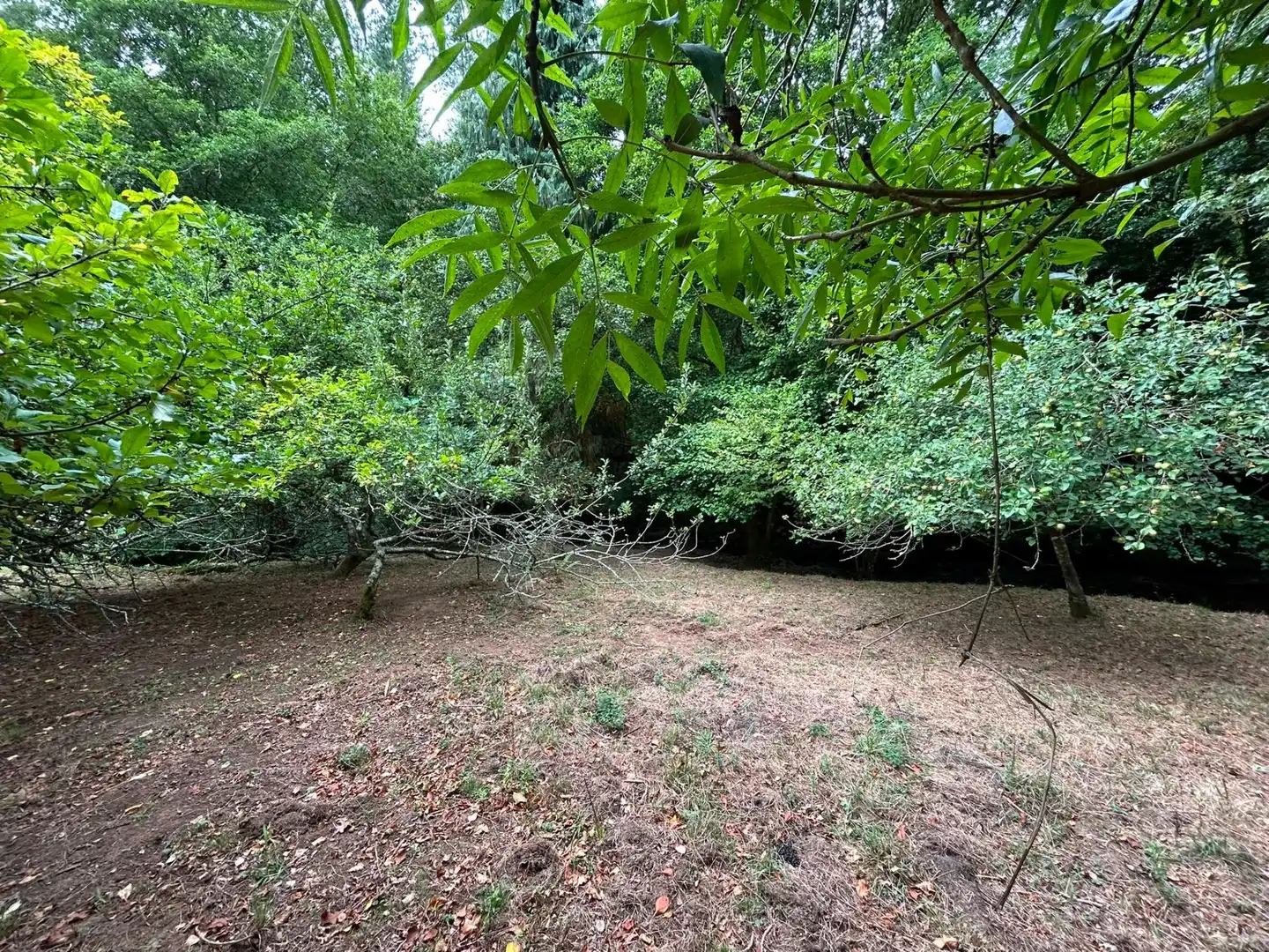 Casa o chalet en venta en Sopuerta con Jardín privado y Trastero