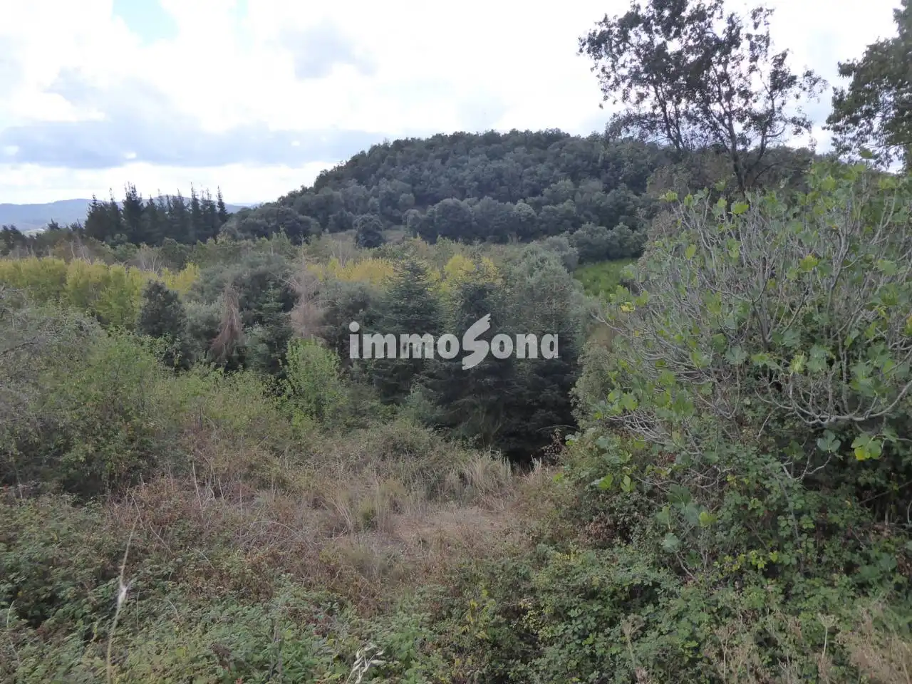 Terreno rústico en venta en Sant Hilari Sacalm, imagen 24
