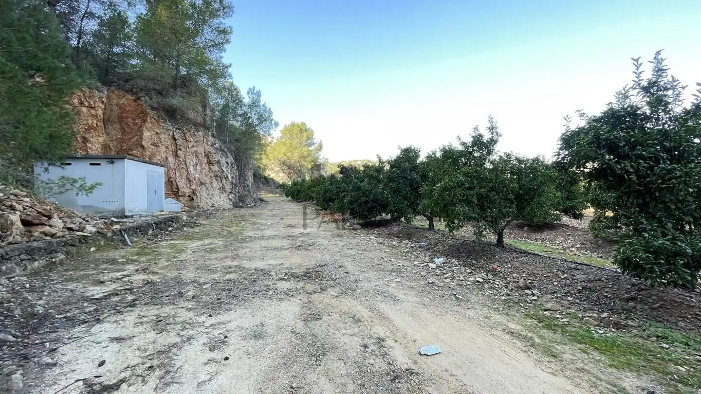 Terreny rústic en venda a Urbanitzacions i Pedanies Sud, imagen 7