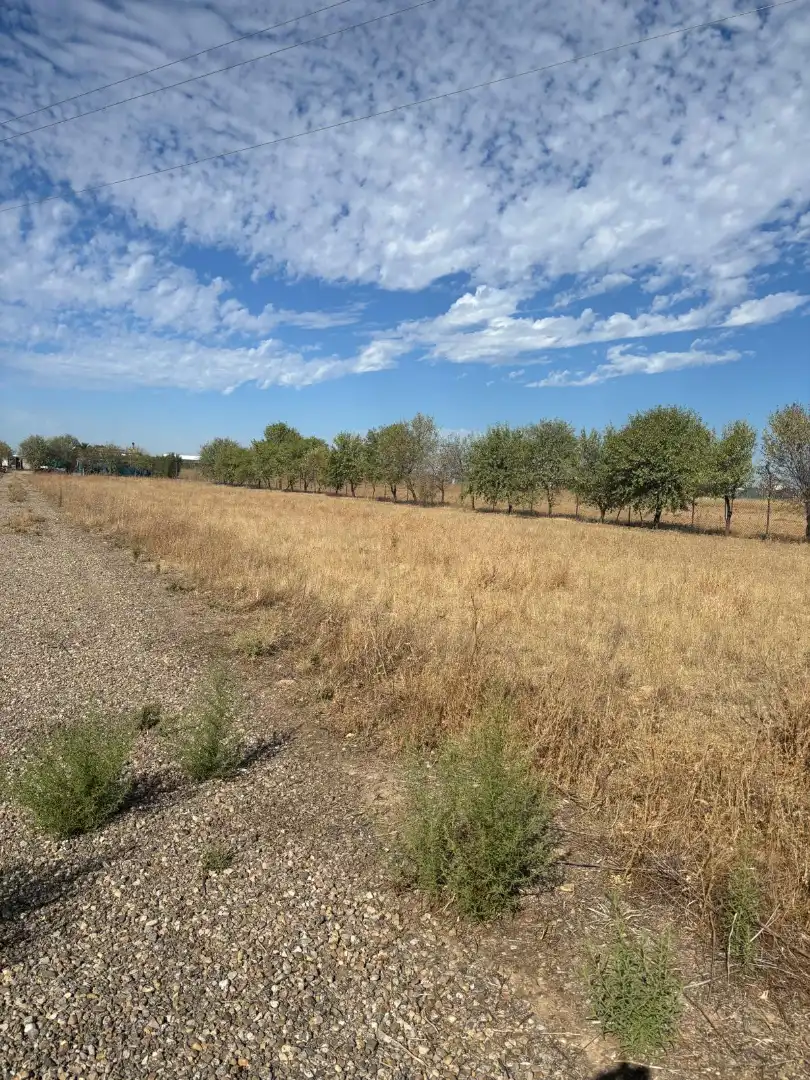 Grundstücke zum Verkauf in Aranjuez
