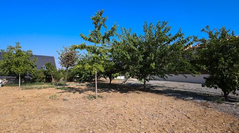 PROMOCIÓN RESIDENCIAL EN UNA DE LAS ZONAS CON MAYOR DEMANDA DE GRANADA., imatge 3