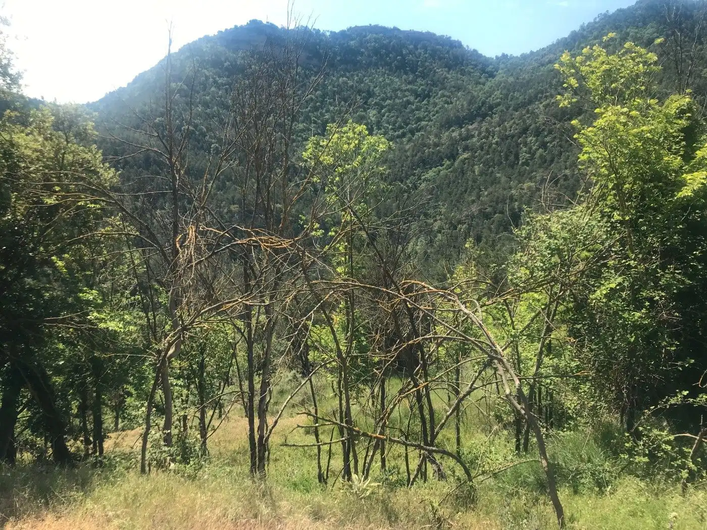 Wohnbaugrundstück zum Verkauf in Borredà, imagen 12