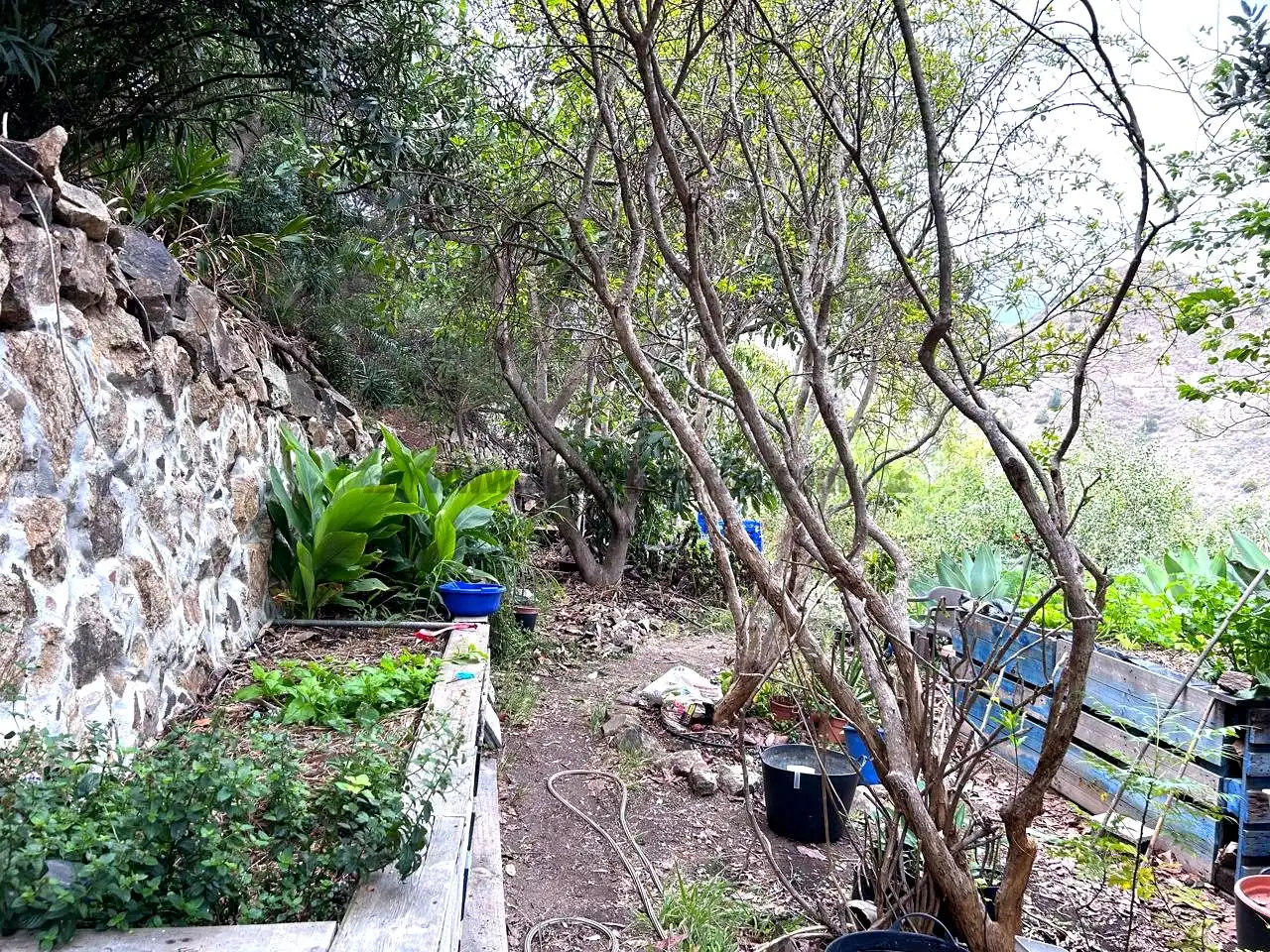 Jardín de Finca rústica en venta en Vallehermoso con Aire acondicionado, Calefacción y Jardín privado