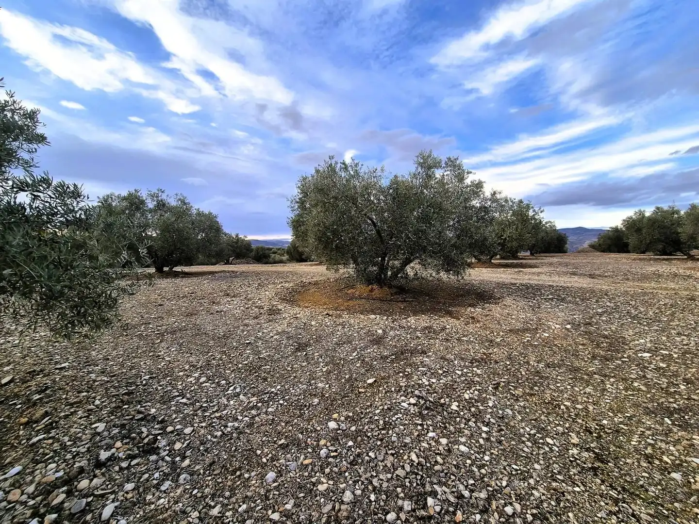 Rural land for sale in Huétor Tájar, imagen 4