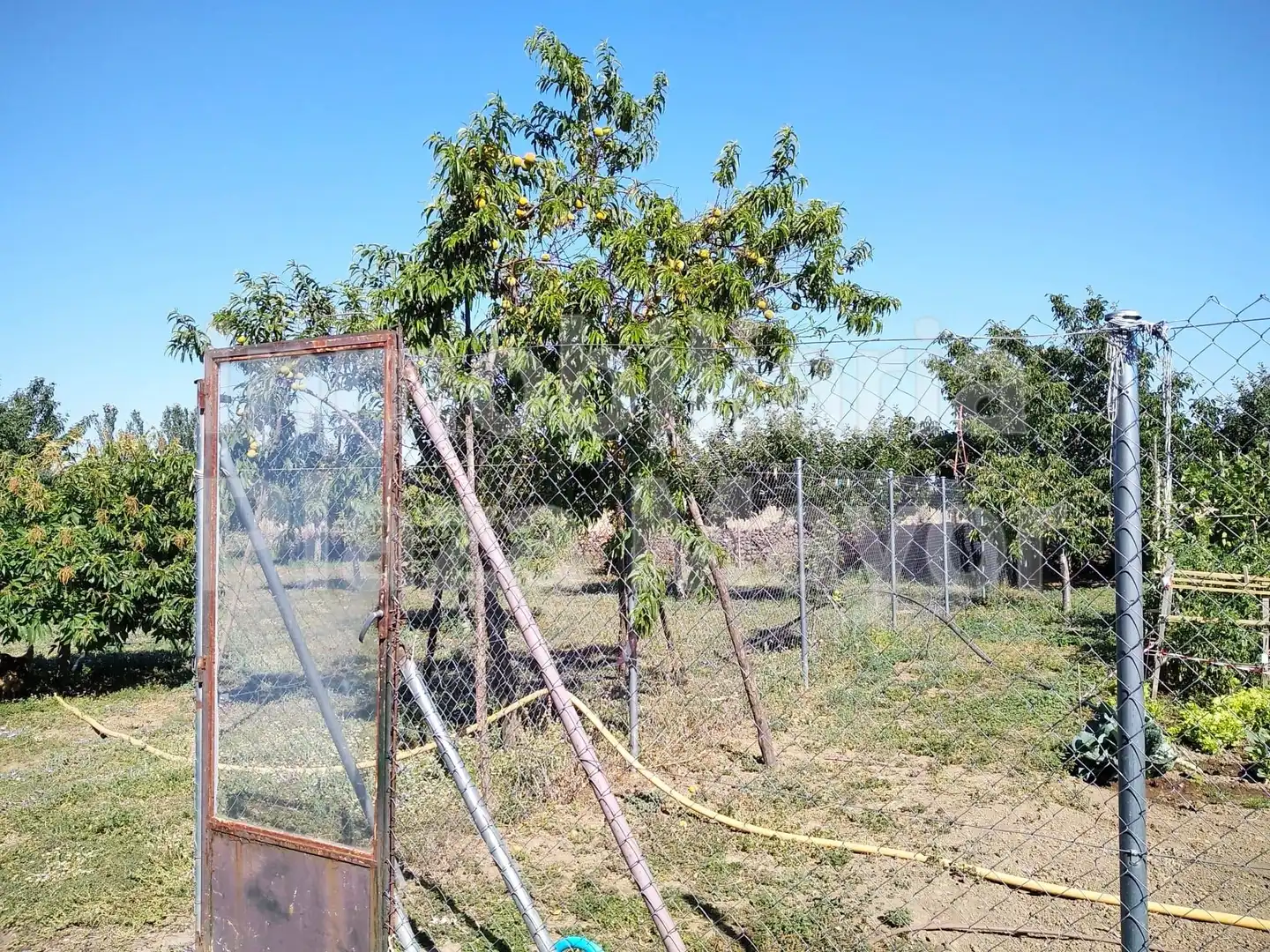 Casa o xalet en venda en Aldehuela de Yeltes amb Jardí privat