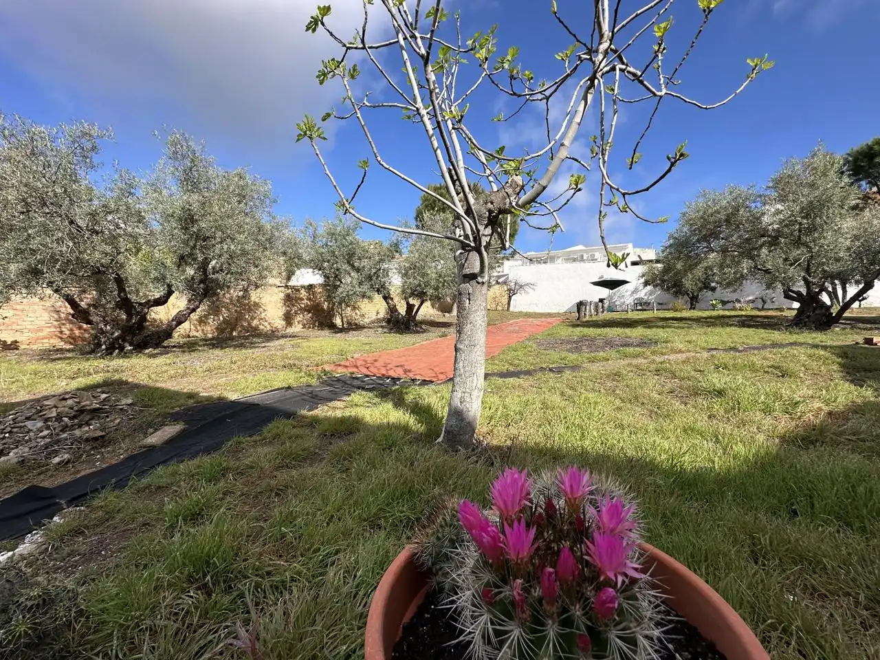 Casa amb jardí en venda a Villanueva de Algaidas, imagen 10