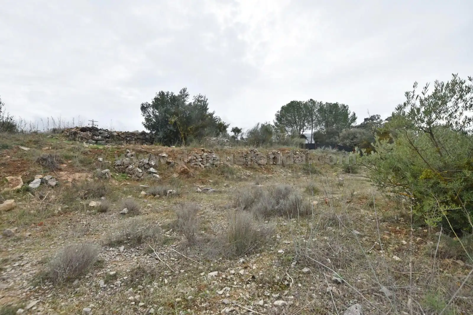 Terreno en venta en Ronda