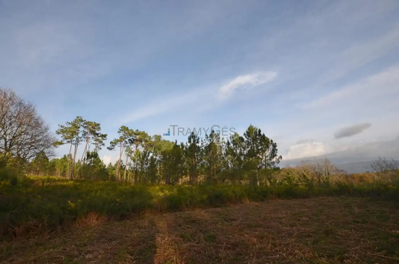 Terreno rustico in vendita a CARREGAL ABAIXO, imagen 13