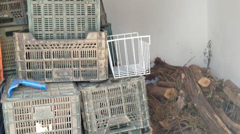 Foto 5 de Finca rústica en venda a Camino Magara, Pechina, Almería