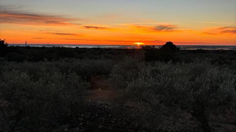 Foto 2 de Finca rústica en venda a Camarles, Tarragona