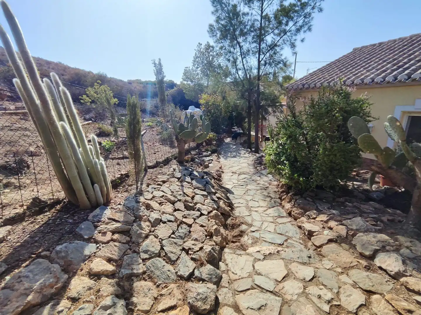 Casa rústica en venta en los arejos, imagen 31