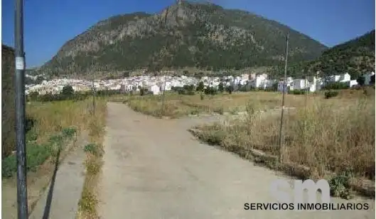 Terreny residencial en venda a Algodonales, imagen 2