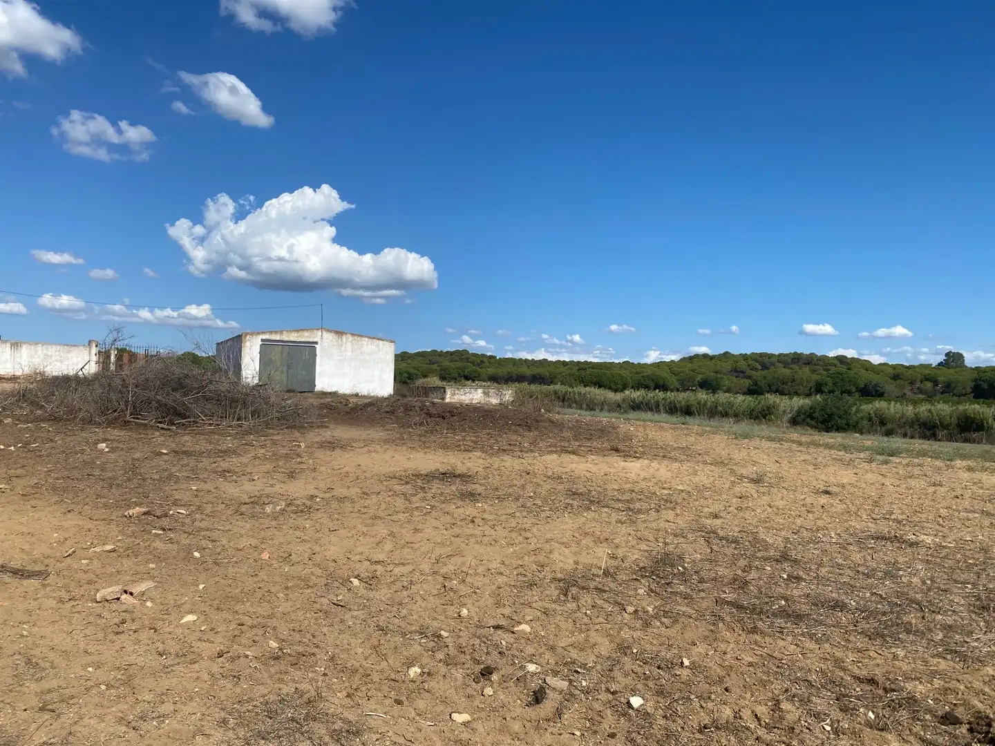 Casa rústica en venda a Punta Umbría, imagen 4