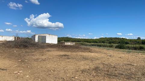 Foto 4 de Finca rústica en venda a Punta Umbría, Huelva