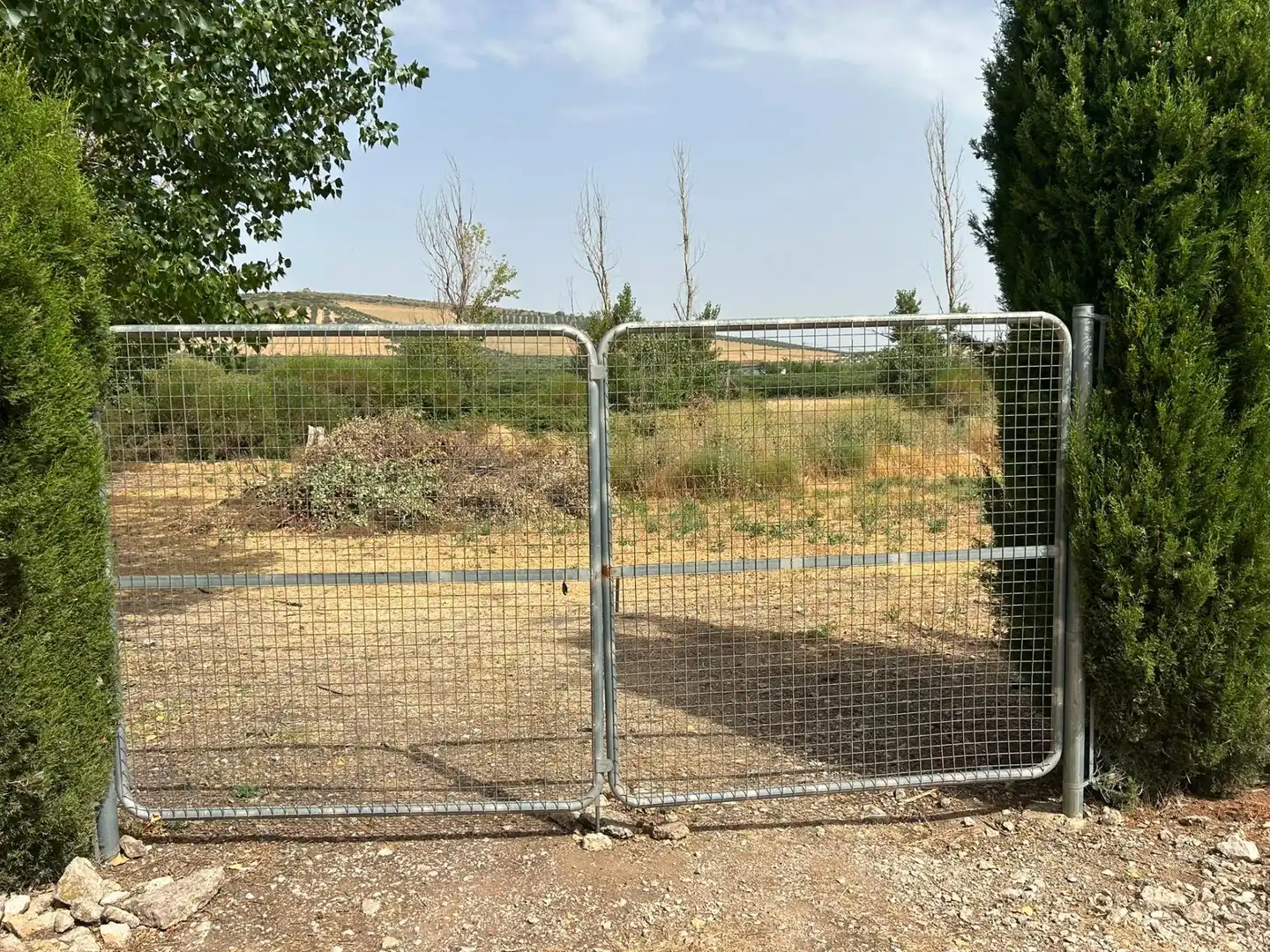 Terrenys i solars en venda a Zona de la Vega, imagen 3