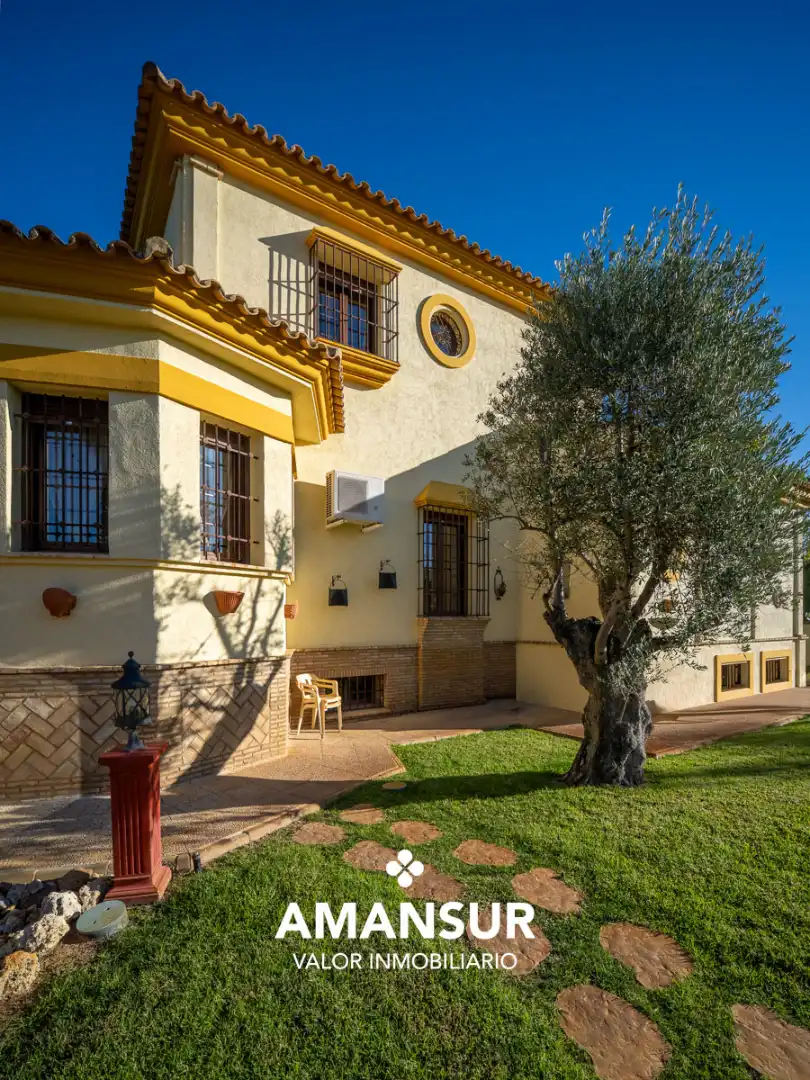 Chalet con piscina en venta en Avenida del Almendro, imagen 25