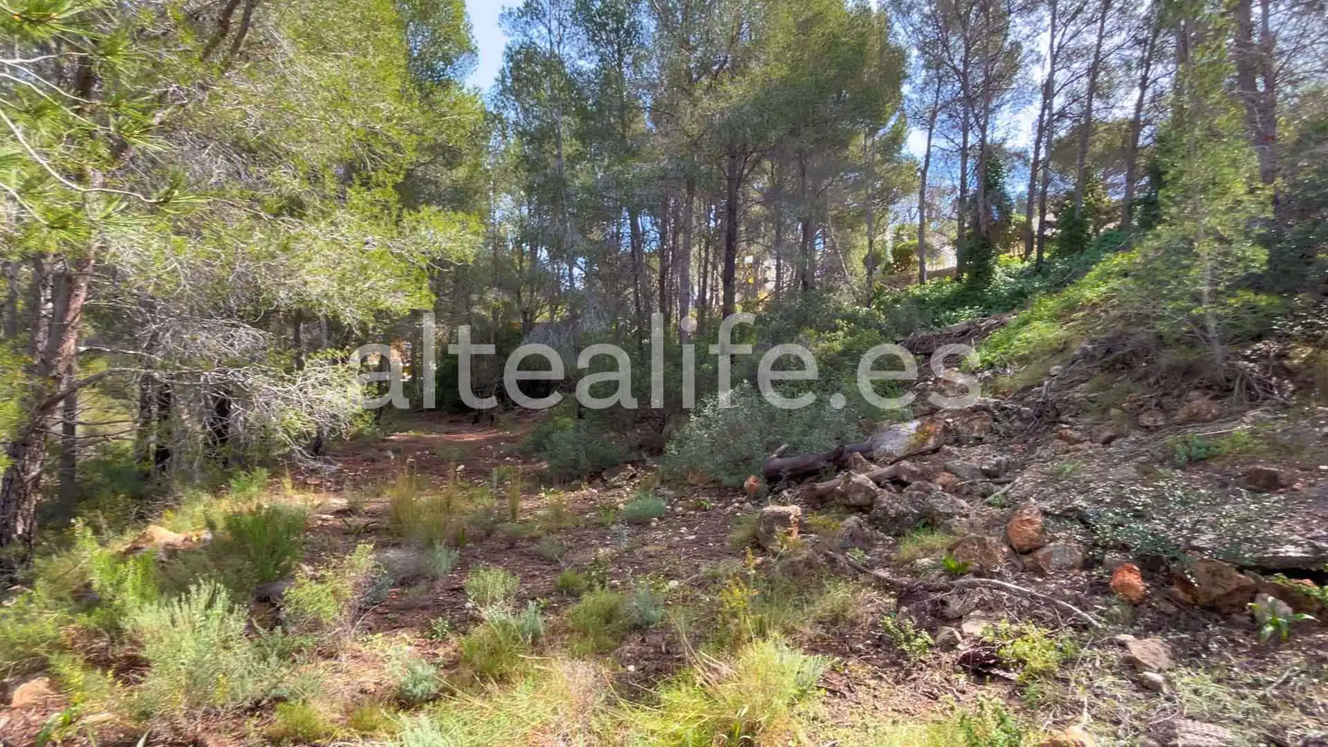 Terreny residencial en venda a Calle Erica, imagen 8