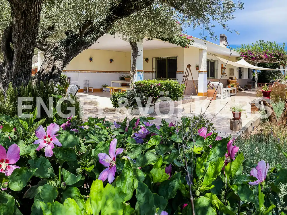 Jardín de Casa o chalet en venta en Almazora / Almassora con Calefacción, Jardín privado y Terraza